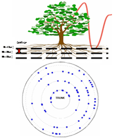 图片59.png 图片59.png