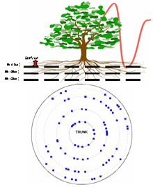图片57.png 图片57.png